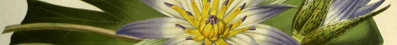 Interested_Banner